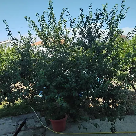 Casa Do Campo Prázdninový dům Seia