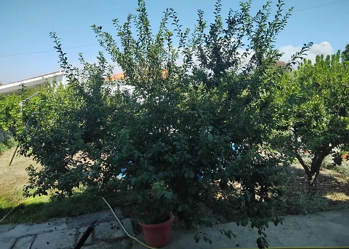 Casa Do Campo Vakantiehuis Seia